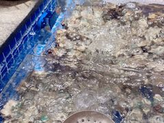 -亚马逊海鲜自助(梅溪湖步步高店)