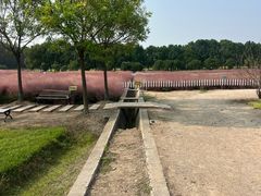 -嘉北郊野公园