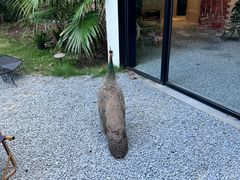 -J Create城市露营咖啡·简餐·宠物(上海动物园店)