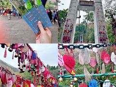 -西双版纳原始森林公园