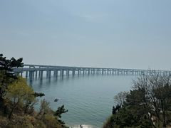 -星海湾跨海大桥