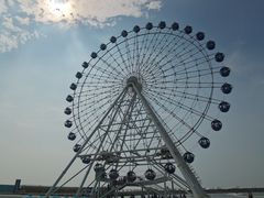 -秦皇岛乐岛海洋王国