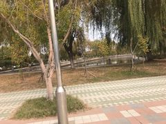 -宿迁学院