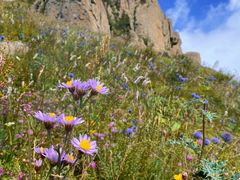 -白草畔自然风景区