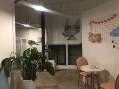 -有猫主题·治愈系猫咖(曾厝垵店)