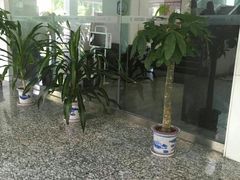 -苏州图书馆(人民路总馆)