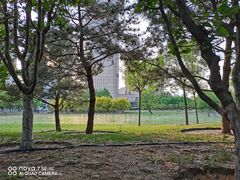 -大望京公园