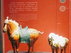 -陕西历史博物馆