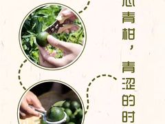 -七彩云南茶(七彩云南第壹城店)