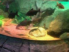 -沈阳海洋探索中心