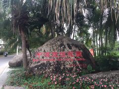 -中澳友谊花园