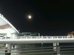 -演武大桥观景平台