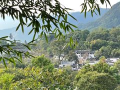 -塔川景区