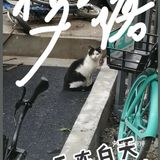 【6区】终于在白天看清了她的脸，起名梦露。