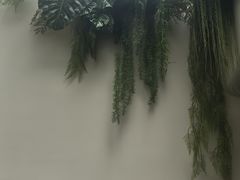 -大逸传奇·足道SPA(天美店)