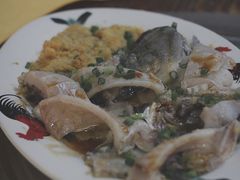 -洞密园美食城(富华路店)