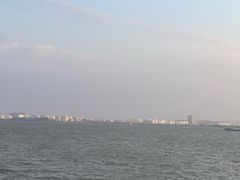 -海鸥岛
