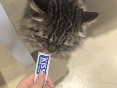 -藏猫猫咖啡主题馆(中央大道店)