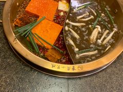 -小天鹅火锅·一线江景洪鼎旗舰店(洪崖洞店)