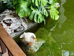 -顺德渔村·岭南一号