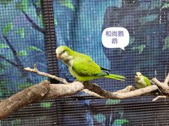 -山东省科技馆(新馆)