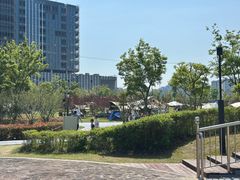 -春花秋色城市公园