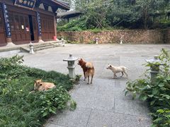 -西湖风景区十里琅珰-五云山