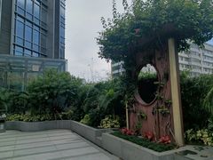 -御彩酒家(东风东路店)