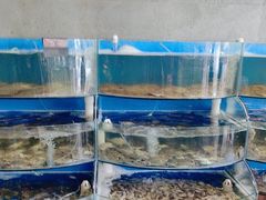 -蓝珊甄选海鲜自助·火锅大排档(近阿那亚店)