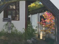 -上海醉白池公园