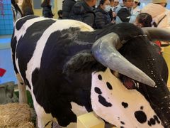 -红星前进面包牛奶公司(君太店)