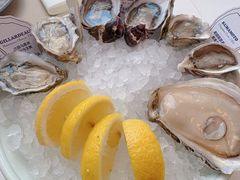 -斯普汇生蚝牛排馆(中骏世界城店)