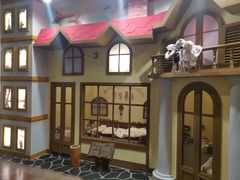 -济州岛泰迪熊博物馆