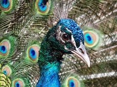 -福建鲤鱼洲酒店