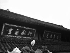 -峨眉山报国寺