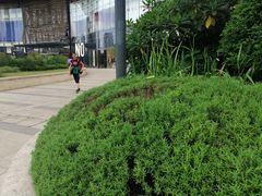 -武汉光谷K11