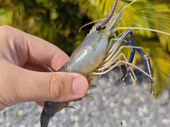 -DGE季风钓虾营地·团建·聚会