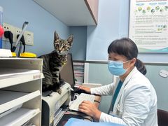 -纳吉亚猫专科动物诊疗中心(蒋宅口分院)