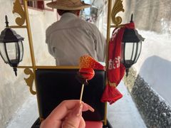 -老炳·七丛松甘草水果