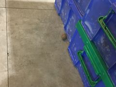 -陈记顺和潮汕牛肉火锅(番禺迎宾大道店)