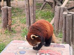 -宁波野生动物园