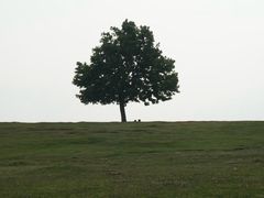 -钟山体育运动公园