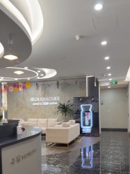 点击看大图 -上海首尔丽格医疗美容医院