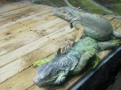 -石家庄市动物园