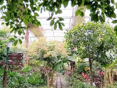 -呀路古热带植物园