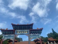 -黄振龙凉茶(市莲店)