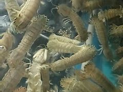 -东海酒店