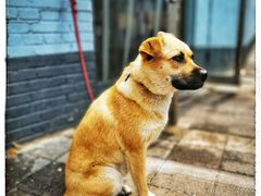 -幸福蛋糕坊(金顶街店)