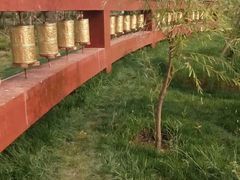 -武清南湖绿博园