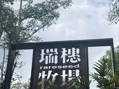 -瑞穗牧场